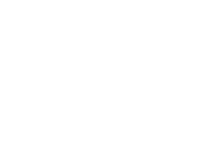 Evolution games at Play Sunny Casino